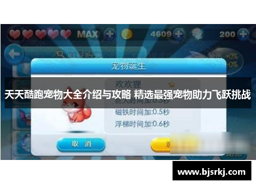 天天酷跑宠物大全介绍与攻略 精选最强宠物助力飞跃挑战